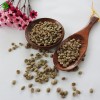 Yunnan Green Coffee Beans Unroasted Coffee Beans with Premium Quality