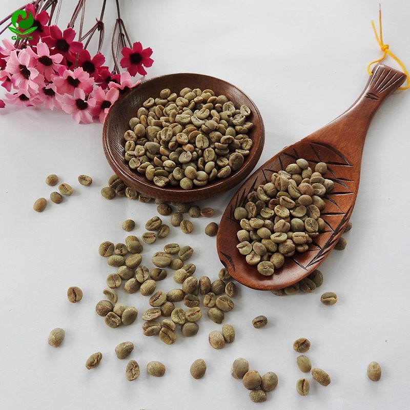 Yunnan Green Coffee Beans Unroasted Coffee Beans with Premium Quality
