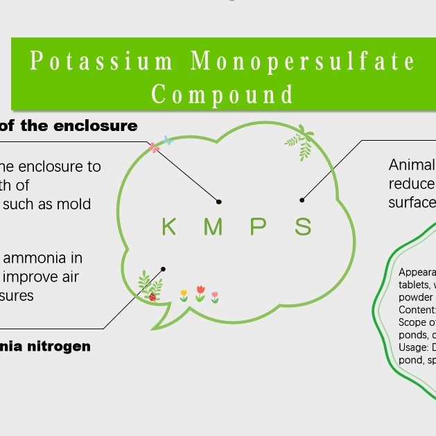 Potassium Monopersulfate Composite Salt Kmps Pmps Poultry Chicken Pig Farm Disinfectant for Water Sanitation
