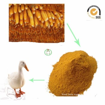 Supply Corn Gluten Meal Protein Meal Animal Feed