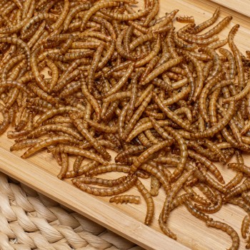 Dried Mealworms for Wild Birds/Fish/Pets/Chicken Feed