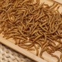 Dried Mealworms for Wild Birds/Fish/Pets/Chicken Feed