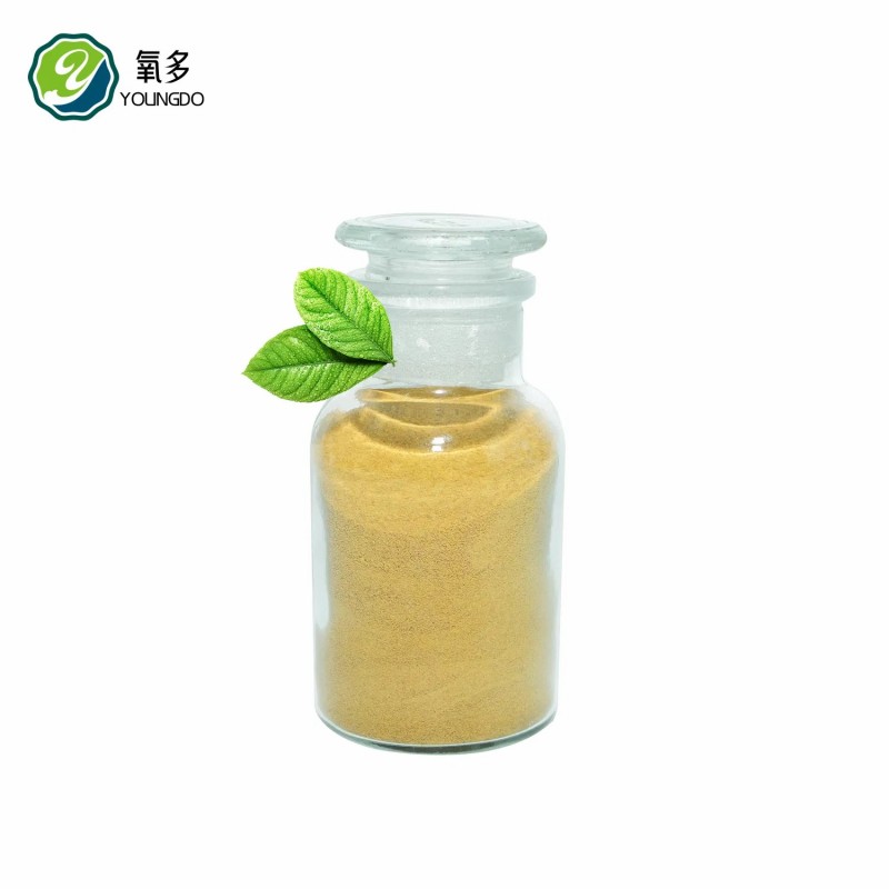 Feed Yeast Powder for Laying Hens Egg Quality