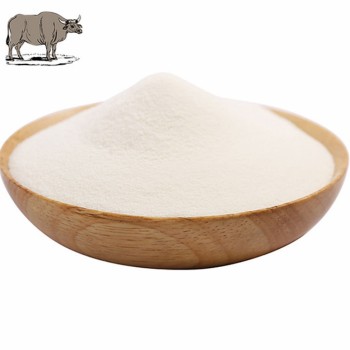 Premium Bovine Collagen Protein Powder for Joint Health