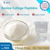 Premium Bovine Collagen Protein Powder for Joint Health