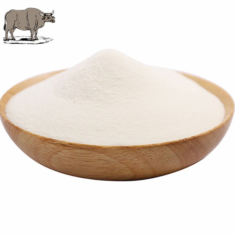 Premium Bovine Collagen Protein Powder for Joint Health