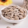 2022 Crop Autumn New Crop Confectionery Food Grade Sunflower Seed Kernels