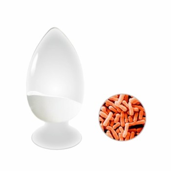 Hot-Sale 500 Billion Cfu/G Bifidobacterium Lactis Probiotics Strains for Nutraceutical Supplements