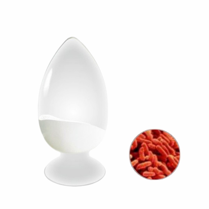 Hot-Sale 500 Billion Cfu/G Bifidobacterium Lactis Probiotics Strains for Nutraceutical Supplements