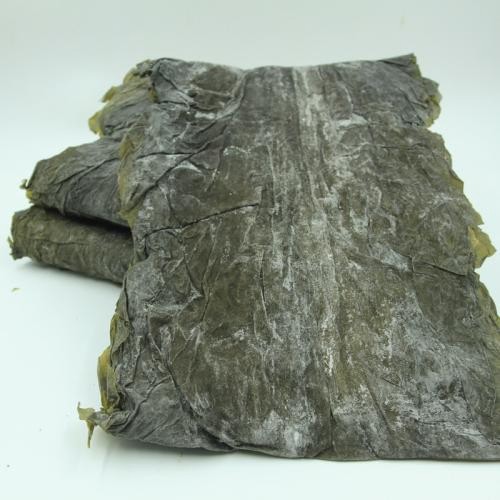 Natural Dried Seaweed Brown Algae Sea Kelp for Body Treatment