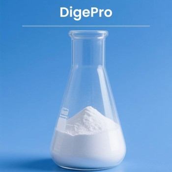 Poultry Feed Grade Enzyme, Compound Protease, Acid Protease/Neutral Protease, Alkaline Protease, Price Protease for Feed Mills, Enzyme Solution for Better Fcr