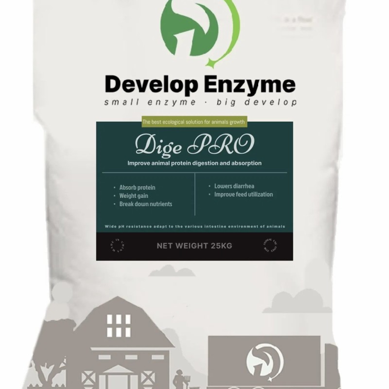 Poultry Feed Grade Enzyme, Compound Protease, Acid Protease/Neutral Protease, Alkaline Protease, Price Protease for Feed Mills, Enzyme Solution for Better Fcr