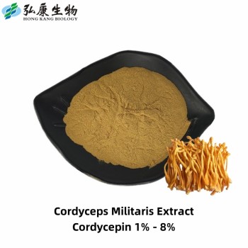Manufacturer Supply Top Grade Mushroom Extract for Health Ingredients