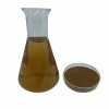 Manufacturer Supply Top Grade Mushroom Extract for Health Ingredients