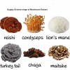 Manufacturer Supply Top Grade Mushroom Extract for Health Ingredients