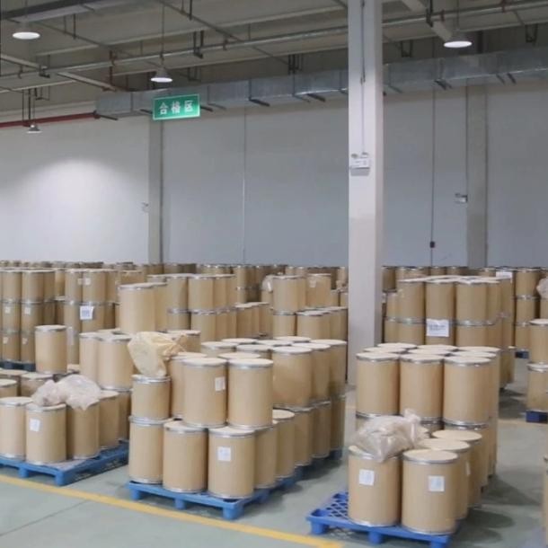 Manufacturer Supply Top Grade Mushroom Extract for Health Ingredients