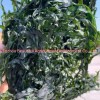 New Crops 10kg Machine Dried Sliced Sea Kelp for Seaweed Salad