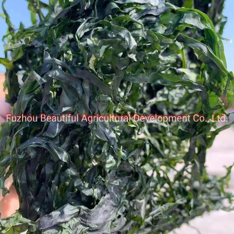 New Crops 10kg Machine Dried Sliced Sea Kelp for Seaweed Salad
