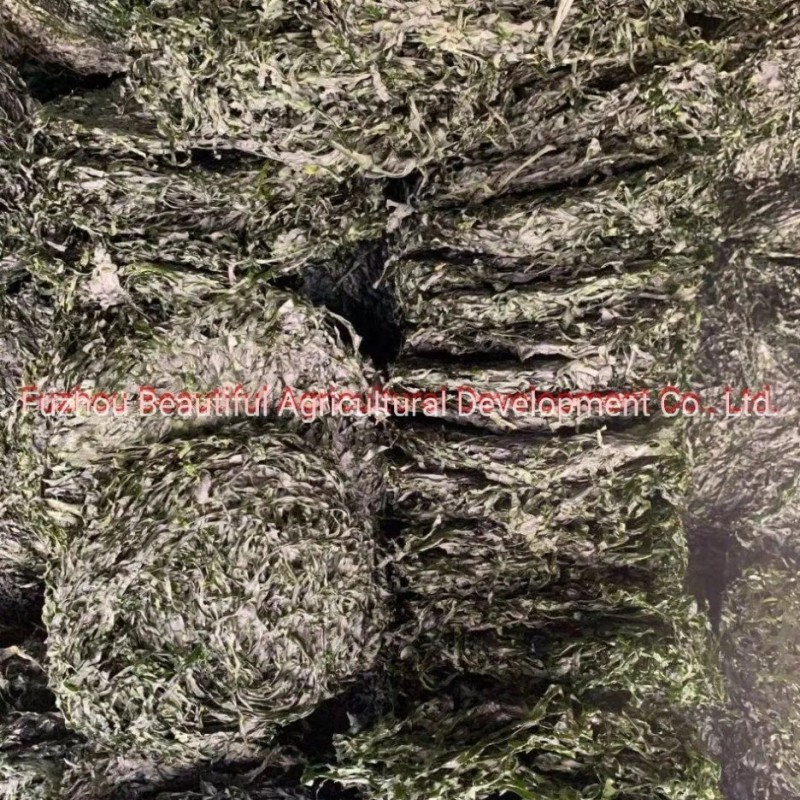 New Crops 10kg Machine Dried Sliced Sea Kelp for Seaweed Salad