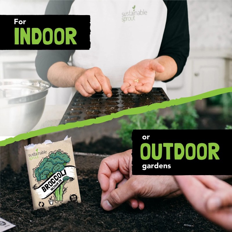 Premium Heirloom Vegetable Seeds Variety Pack for Home Gardens