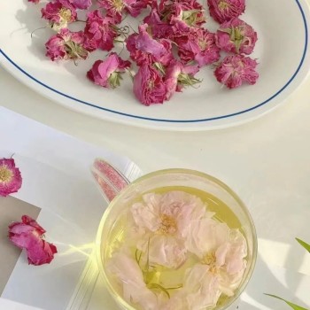 Wholesale High Mountain Scented Tea Damask Roses Tea