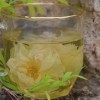 Wholesale High Mountain Scented Tea Damask Roses Tea