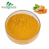 10: 1 Pure Natural Root Powder 95% Turmeric Curcumin Extract
