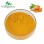 10: 1 Pure Natural Root Powder 95% Turmeric Curcumin Extract