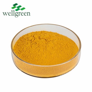 10: 1 Pure Natural Root Powder 95% Turmeric Curcumin Extract