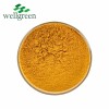 10: 1 Pure Natural Root Powder 95% Turmeric Curcumin Extract