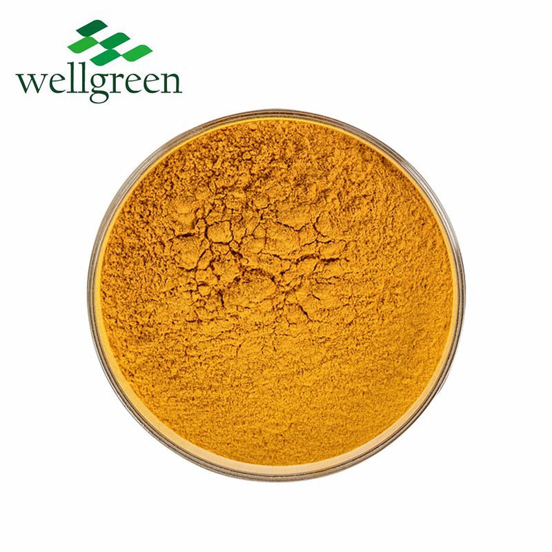 10: 1 Pure Natural Root Powder 95% Turmeric Curcumin Extract
