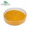 10: 1 Pure Natural Root Powder 95% Turmeric Curcumin Extract