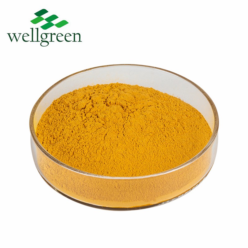 10: 1 Pure Natural Root Powder 95% Turmeric Curcumin Extract