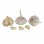 Garlic Price Per Ton From China Wholesale Price for Supermarket (Normal White Garlic & Pure White Garlic)