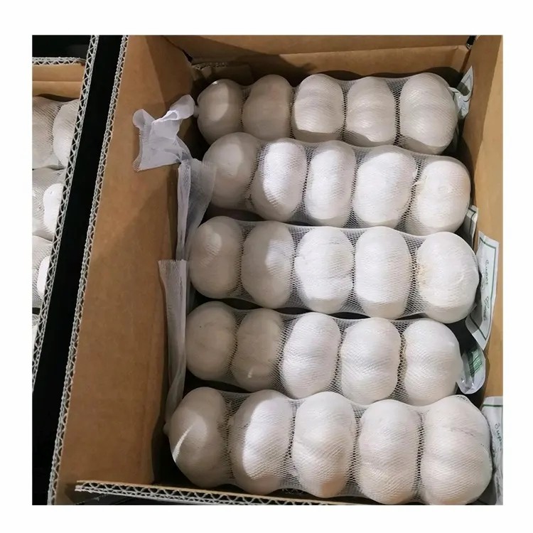 Garlic Price Per Ton From China Wholesale Price for Supermarket (Normal White Garlic & Pure White Garlic)