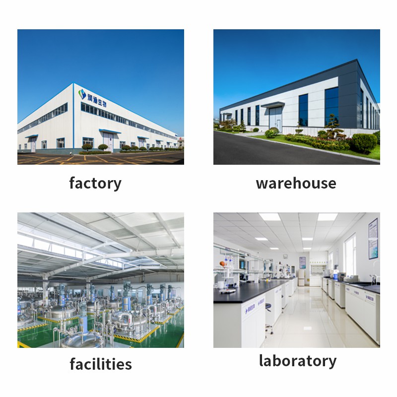 Wholesale Food Grade Supplement Beta Nicotinamide Mononucleotide Nmn Powder CAS 1094