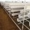 Hydroponic Food-Grade Nft PVC Channel PVC Gutter Pipe for Strawberry