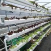 Hydroponic Food-Grade Nft PVC Channel PVC Gutter Pipe for Strawberry