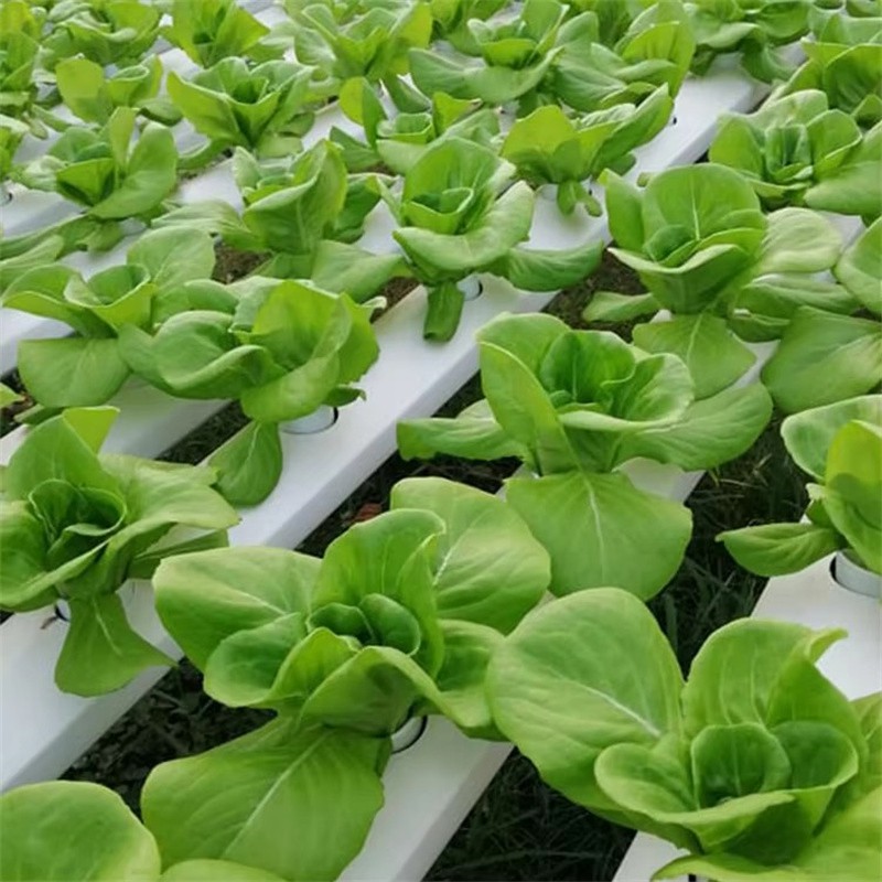 Hydroponic Food-Grade Nft PVC Channel PVC Gutter Pipe for Strawberry