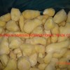 Wholesale Fresh Frozen Broccoli Cauliflower Lotus Root White Green White Cabbage Asparagus Fruit Mixed Vegetables Price From Factory Supplier