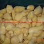 Wholesale Fresh Frozen Broccoli Cauliflower Lotus Root White Green White Cabbage Asparagus Fruit Mixed Vegetables Price From Factory Supplier
