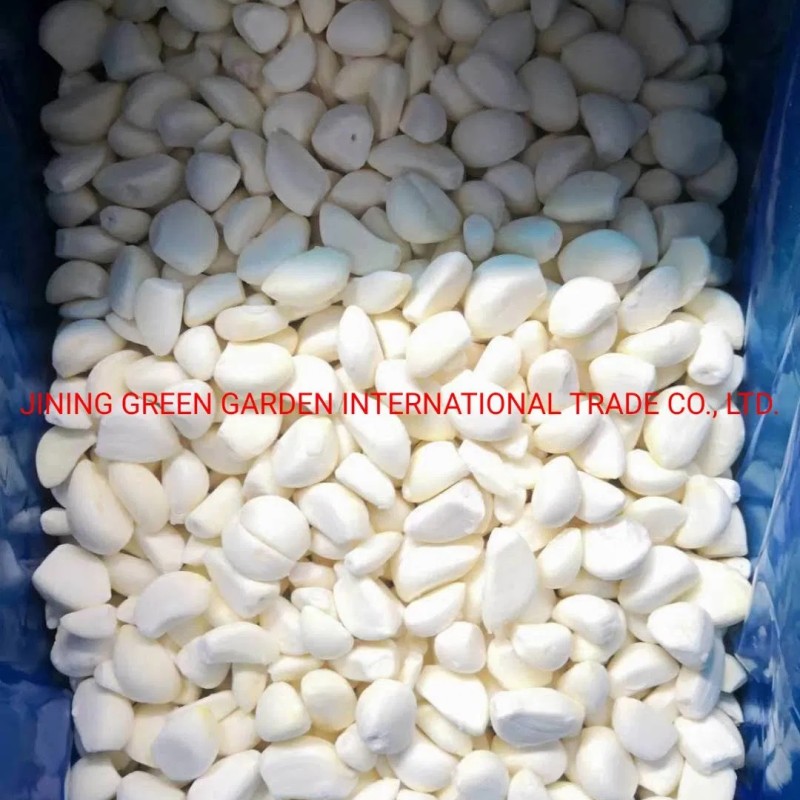 Wholesale Fresh Frozen Broccoli Cauliflower Lotus Root White Green White Cabbage Asparagus Fruit Mixed Vegetables Price From Factory Supplier