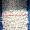 Wholesale Fresh Frozen Broccoli Cauliflower Lotus Root White Green White Cabbage Asparagus Fruit Mixed Vegetables Price From Factory Supplier