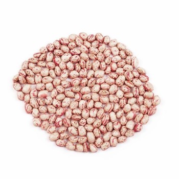 Xinjiang Best Quality Light Speckled Kidney Beans