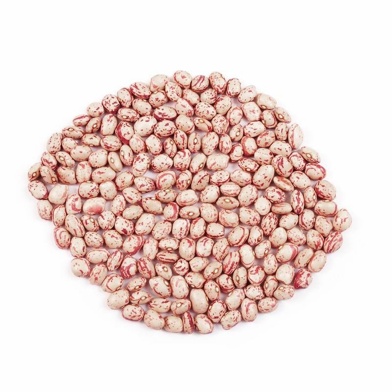 Xinjiang Best Quality Light Speckled Kidney Beans