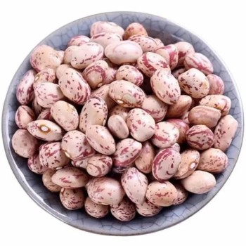 Xinjiang Best Quality Light Speckled Kidney Beans