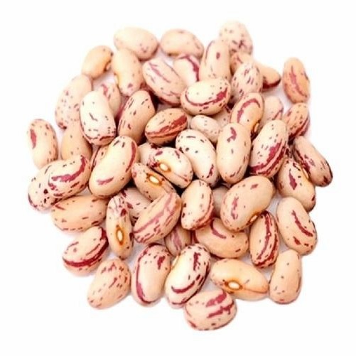 Xinjiang Best Quality Light Speckled Kidney Beans