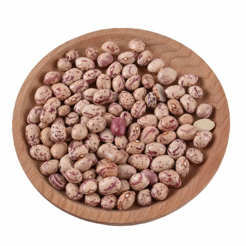 Xinjiang Best Quality Light Speckled Kidney Beans