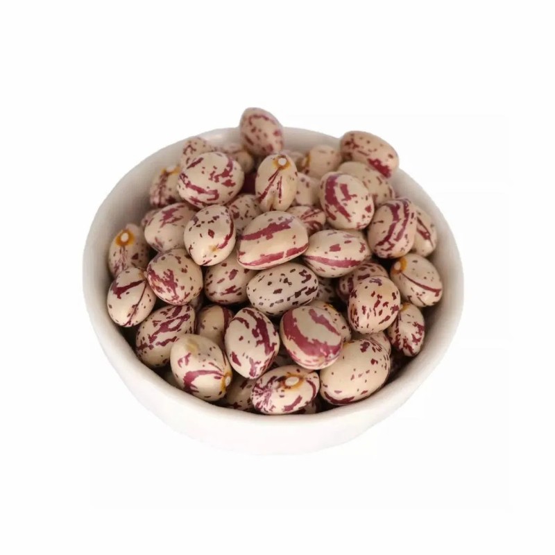 Xinjiang Best Quality Light Speckled Kidney Beans