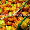 Hot Selling Best Preserved Golden Berry Dried Physalis From China